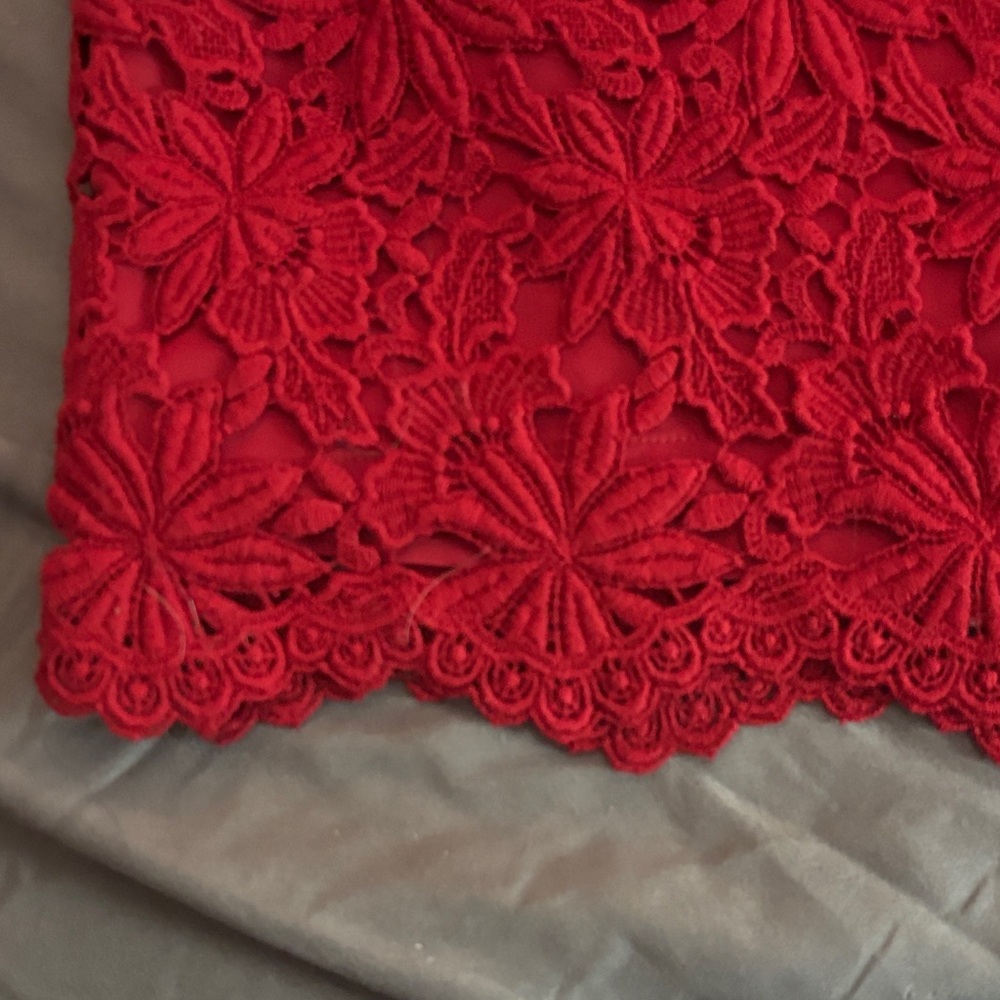 Talbots Red Lace Pencil Skirt - Picture 3 of 7